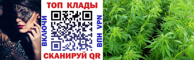 Купить наркотики сайты Краснознаменск КОКАИН  Галлюциногенные грибы  Амфетамин  МЕГА сайт  Бошки Шишки  Alpha-PVP  ГАШ 