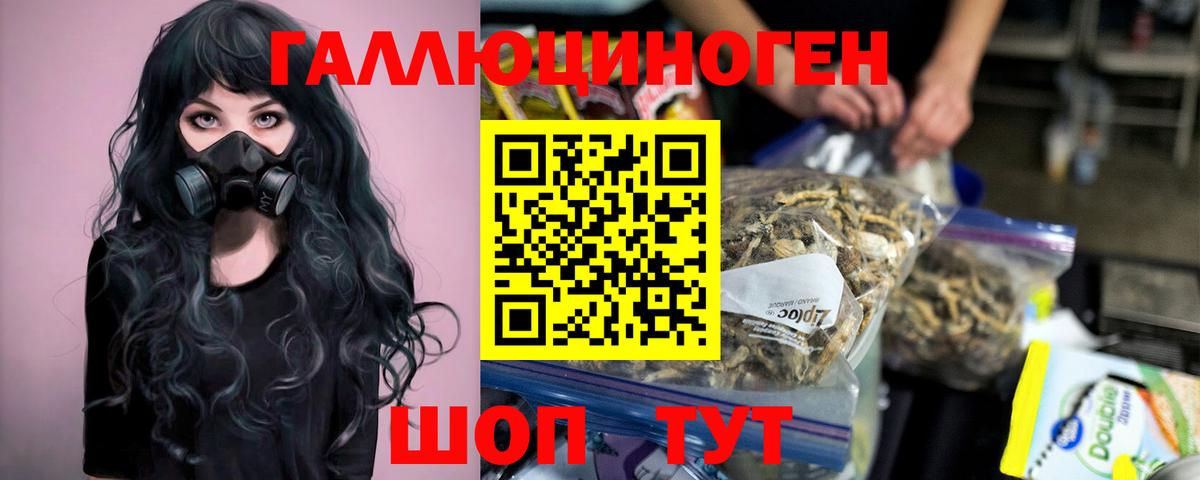 Псилоцибиновые грибы Cubensis  Псилоцибиновые грибы Psilocybe  Вход с VPN  Краснознаменск 